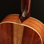 Custom Honduran Rosewood Parlor Guitar