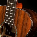 Brazilian Rosewood ukulele with sinker redwood top