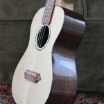 Brazilian Rosewood Tenor Ukulele by Lichty Guitars