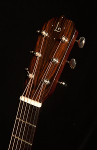 Brazilian Rosewood Parlor Guitar