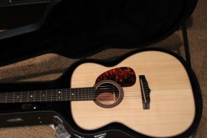 Haley Dreis' custom Honduran Rosewood Lichty Guitar