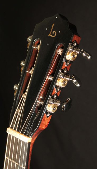Custom Handcrafted Brazilian Rosewood OM Guitar, Lichty Guitar