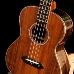 Custom Brazilian Rosewood Tenor Ukulele, Lichty Guitars T14