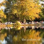 The Colors of LEAF - 2011