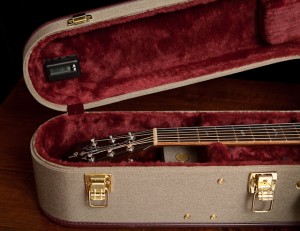 Lichty Custom Guitar in an Ameritage Casee