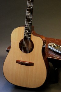 Spanish Cedar Cutaway Lichty Guitar with LR Baggs Pick