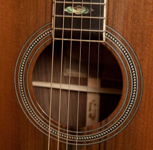Custom Pau Ferro Dreadnought Guitar