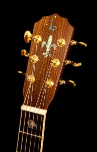 Custom Pau Ferro Dreadnought Guitar