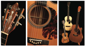 The Laurel of Asheville, Lichty Guitars Feature