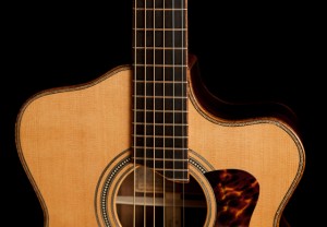 Cocobolo Acoustic Guitar, Alchemist G45