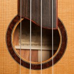 Snakewood concert ukulele rosette