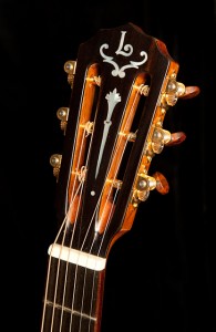 Custom Brazilian Rosewood Guitar, G42-6-2