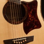 Brazilian Rosewood Acoustic Guitar, Lichty Guitar