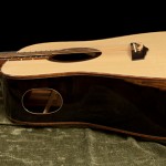 Handcrafted Brazilian Rosewood Dreadnought