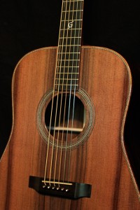 Tom Gossin's Custom Lichty Guitar