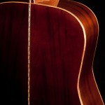 Ambrosia Maple Lichty Guitar