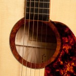 Ambrosia Maple Lichty Guitar