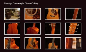 Hormigo Guitar Gallery