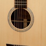 Custom Brazilian Rosewood Guitar