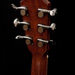 Custom Brazilian Rosewood Guitar