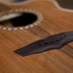 Custom Guitar Construction