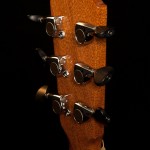 Pau Ferro Guitar, OM Diamond Series