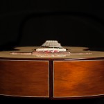 Ancient Kauri Guitar, Custom Lichty Dream Guitar