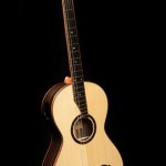 Custom 5 String Dream Guitar, G77