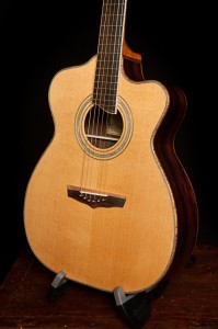 Custom Acoustic Guitar, Cocobolo and Cedar Alchemist