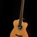 Custom Acoustic Guitar, Cocobolo and Cedar Alchemist