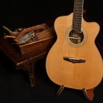 Custom Cocobolo Alchemist Guitar