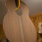 Custom Guitar Construction, Brazilian Rosewood Alchemist Guitar G71