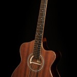 Custom Guitar - Cocobolo ALchemist Lichty Guitar 70