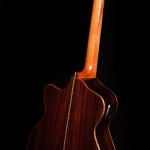 Custom Guitar - Cocobolo ALchemist Lichty Guitar 70