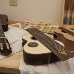 Luthier Shop, Lichty Guitars