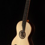 Custom Guitar, Ziricote Dream Guitar G74