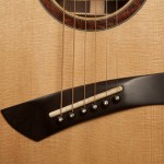 Wenge Small Jumbo Custom Guitar, G75