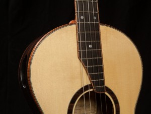 Custom 5 String Dream Guitar, G77-3