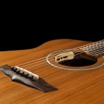 Lichty Custom Acoustic Guitar, Wenge and Sinker Redwood G79