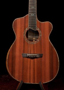 Brazilian Rosewood Custom Guitar, Lichty Alchemist G84-8