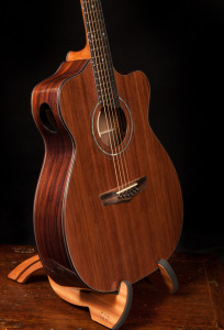 Pau Ferro Alchemist Custom Guitar, G85-4