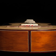 Ancient Kauri Guitar