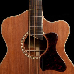 Custom Acoustic Guitar Review, G61