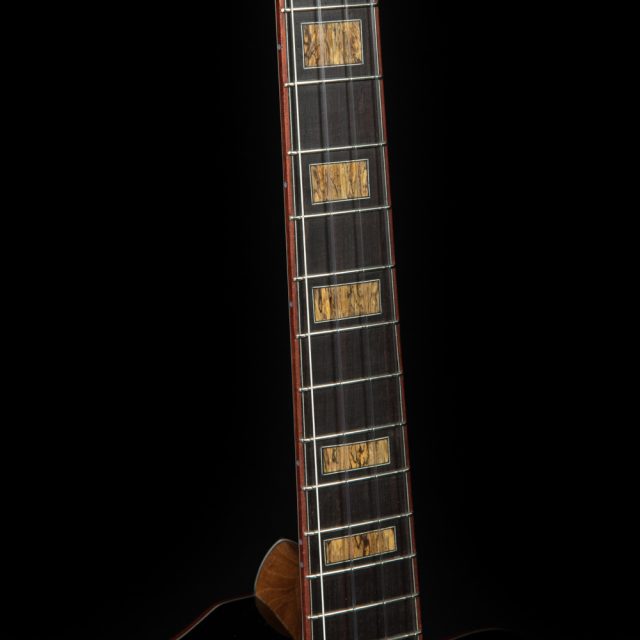 Ebony fretboard with Bloodwood binding and Maple inlay