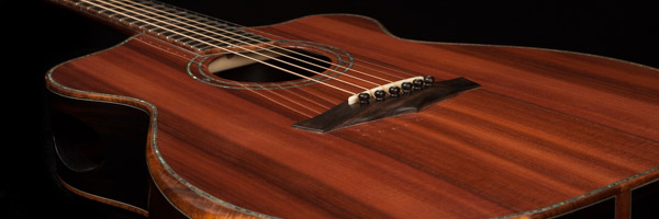 Custom acoustic guitar models