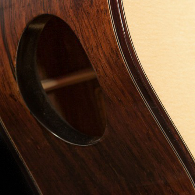 Custom Guitar Soundport
