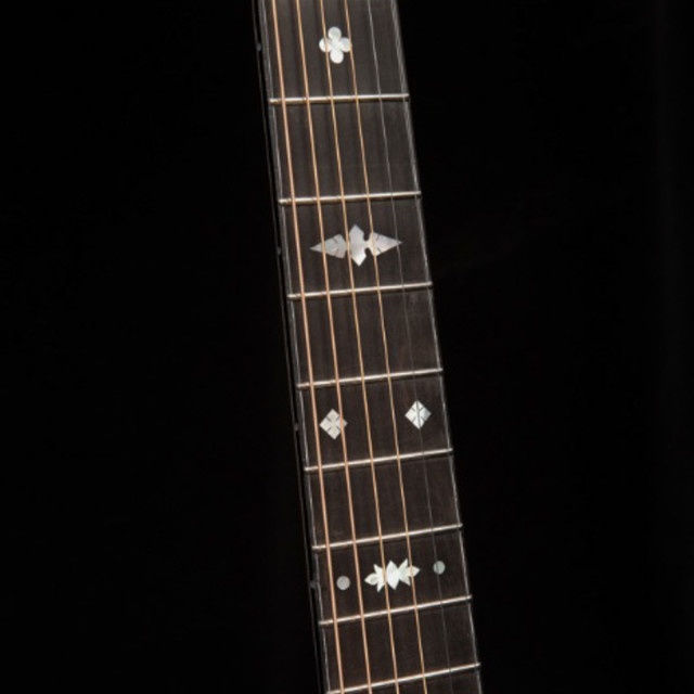 Custom Guitar Fretboard Options