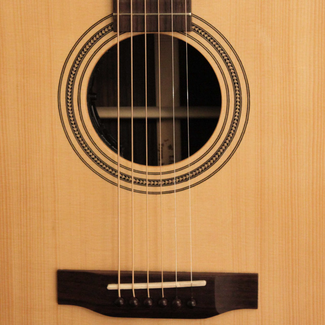 Custom Left Handed Guitar