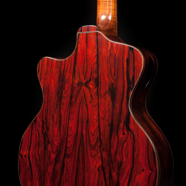 Custom Guitar with Double Compound Cutaway