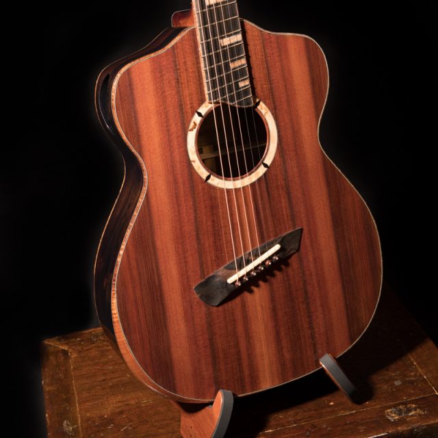 Lichty-Custom-Multiscale-Neck-Guitar